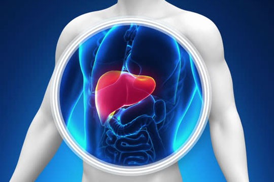 нормализация работы внутренних органов